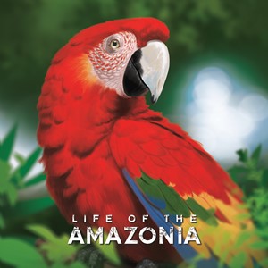 BCMLA001 Life Of The Amazonia Board Game published by Bad Comet Games