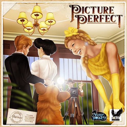 DMGAWGAW10PP Picture Perfect Game (Damaged) published by Arcane Wonders