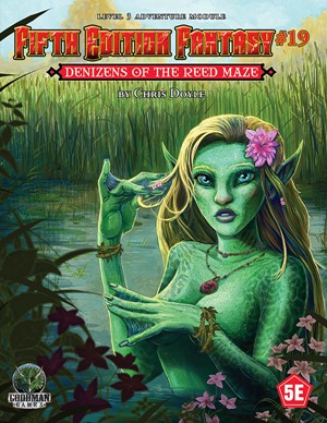 2!GMG55519 Dungeons And Dragons RPG: Module 19: Denizens Of The Reed Maze published by Goodman Games