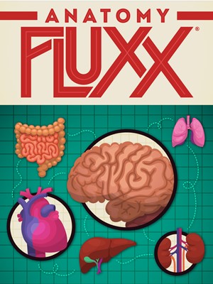 LOO084 Anatomy Fluxx Card Game published by Looney Labs