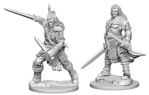 WZK72596S Pathfinder Deep Cuts Unpainted Miniatures: Human Male Fighter published by WizKids Games