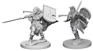 WZK72607S Pathfinder Deep Cuts Unpainted Miniatures: Human Female Paladin published by WizKids Games