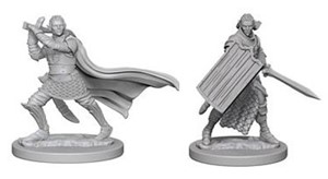 WZK72608S Pathfinder Deep Cuts Unpainted Miniatures: Elf Male Paladin published by WizKids Games