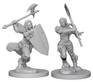 WZK72614S Pathfinder Deep Cuts Unpainted Miniatures: Half-Orc Female Barbarian published by WizKids Games