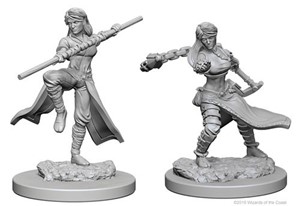WZK72634S Dungeons And Dragons Nolzur's Marvelous Unpainted Minis: Human Female Monk published by WizKids Games
