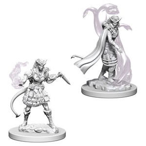 WZK73202S Dungeons And Dragons Nolzur's Marvelous Unpainted Minis: Tiefling Female Sorcerer published by WizKids Games