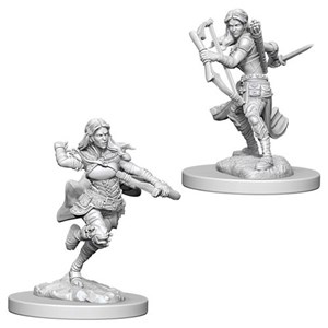 WZK73204S Dungeons And Dragons Nolzur's Marvelous Unpainted Minis: Air Genasi Female Rogue published by WizKids Games