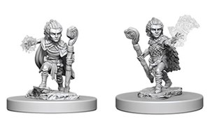 WZK73346S Pathfinder Deep Cuts Unpainted Miniatures: Gnome Male Druid published by WizKids Games