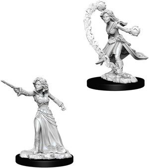 WZK73412S Pathfinder Deep Cuts Unpainted Miniatures: Human Female Wizard published by WizKids Games