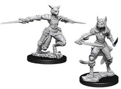Dungeons And Dragons Nolzur's Marvelous Unpainted Minis: Tabaxi Female Rogue