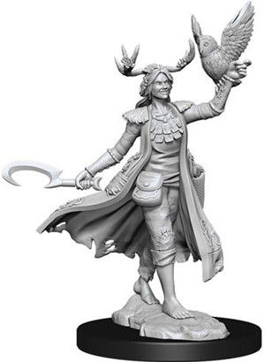 2!WZK75012 Dungeons And Dragons Frameworks: Human Druid Female published by WizKids Games