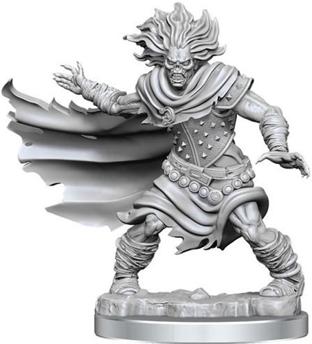 WZK75052 Dungeons And Dragons Frameworks: Wight published by WizKids Games