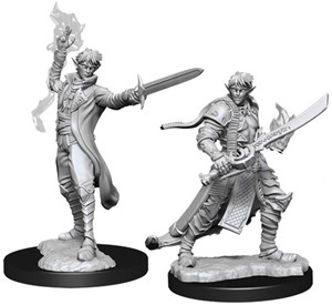 WZK90043S Pathfinder Deep Cuts Unpainted Miniatures: Elf Male Magus published by WizKids Games