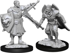WZK90263S Pathfinder Deep Cuts Unpainted Miniatures: Human Champion Male published by WizKids Games