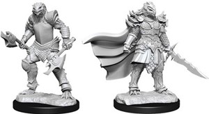 2!WZK90302S Dungeons And Dragons Nolzur's Marvelous Unpainted Minis: Dragonborn Fighter Female published by WizKids Games