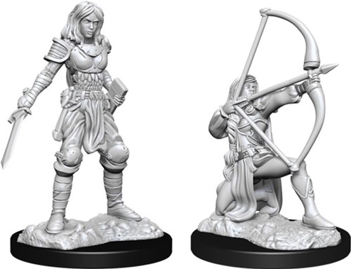 WZK90326S Pathfinder Deep Cuts Unpainted Miniatures: Human Fighter Female published by WizKids Games