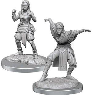 WZK90652S Pathfinder Deep Cuts Unpainted Miniatures: Half-Elf Monk Female published by WizKids Games