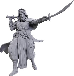 3!WZK90712 Pathfinder Deep Cuts Unpainted Miniatures: Desert Giant published by WizKids Games