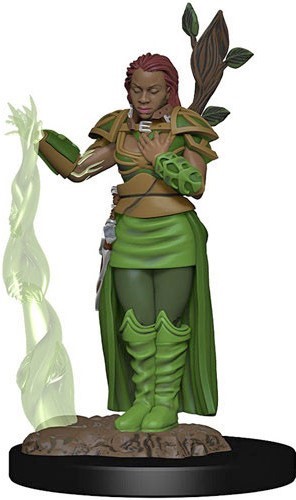 WZK93009S Dungeons And Dragons: Human Female Druid Premium Figure published by WizKids Games