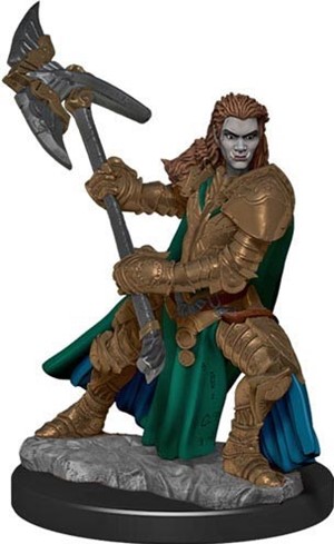 WZK93026S Dungeons And Dragons: Half-Orc Fighter Female Premium Figure published by WizKids Games