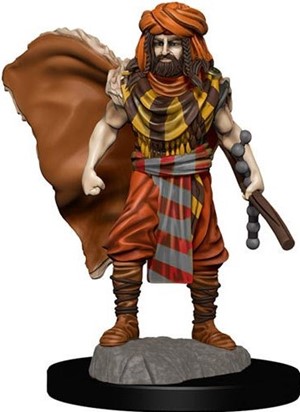 WZK93031S Dungeons And Dragons: Human Druid Male Premium Figure published by WizKids Games