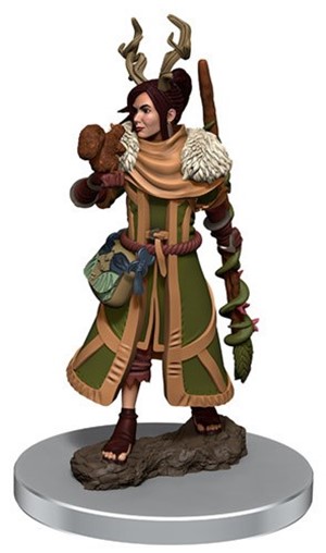 2!WZK93054S Dungeons And Dragons: Female Human Druid Premium Figure published by WizKids Games